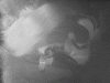 supra04.gif
