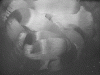 supra05.gif