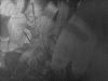 supra08.gif