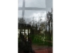 gorky-02.jpg