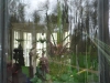 gorky-06.jpg