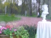 gorky-09.jpg