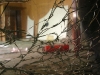 seeterrasse06.jpg