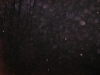 abstract02.jpg