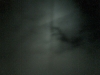 abstract11.jpg